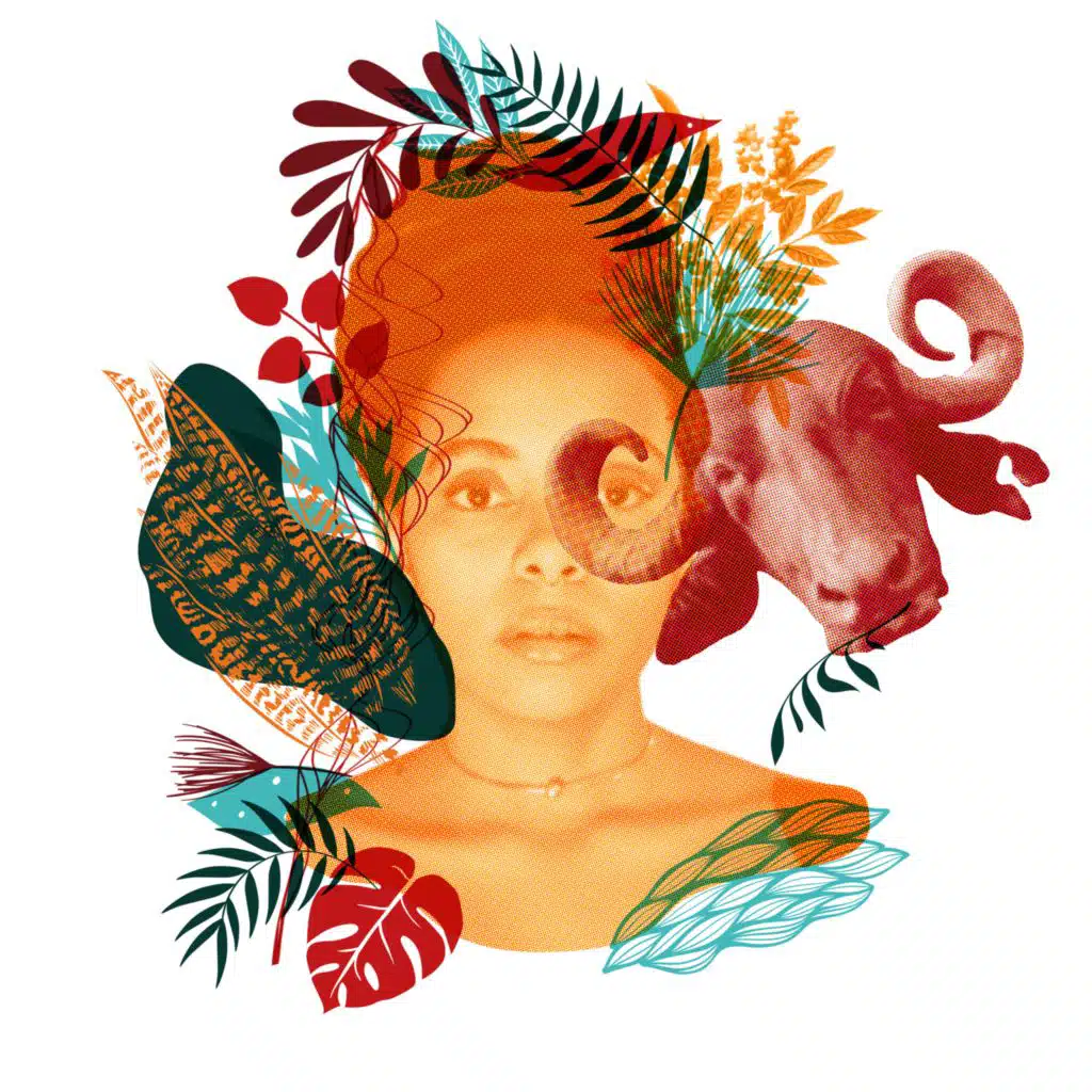 Flores Raras (Nahraujo Remix)