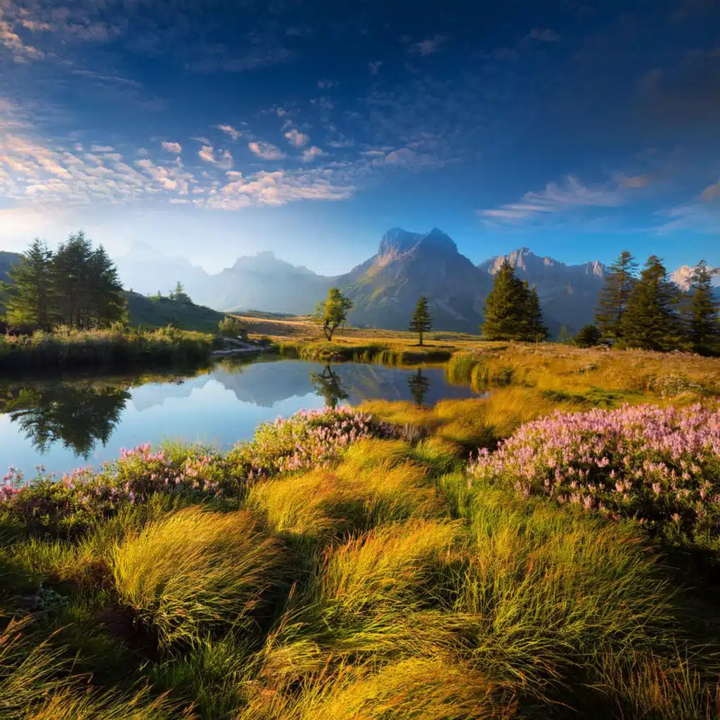 Melodías Puras: Música Para El Alma