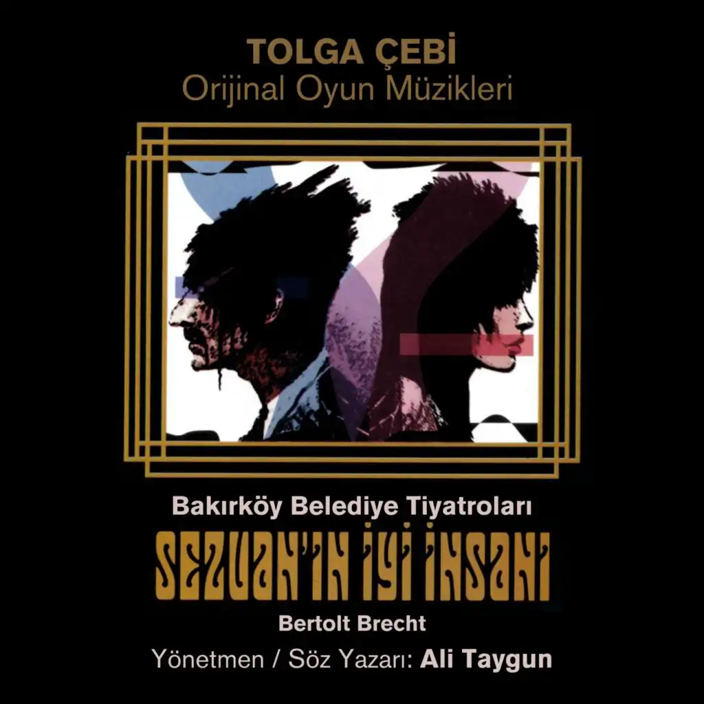 Tolga Cebi