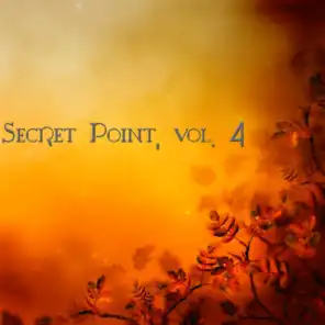 Secret Point, Vol. 4