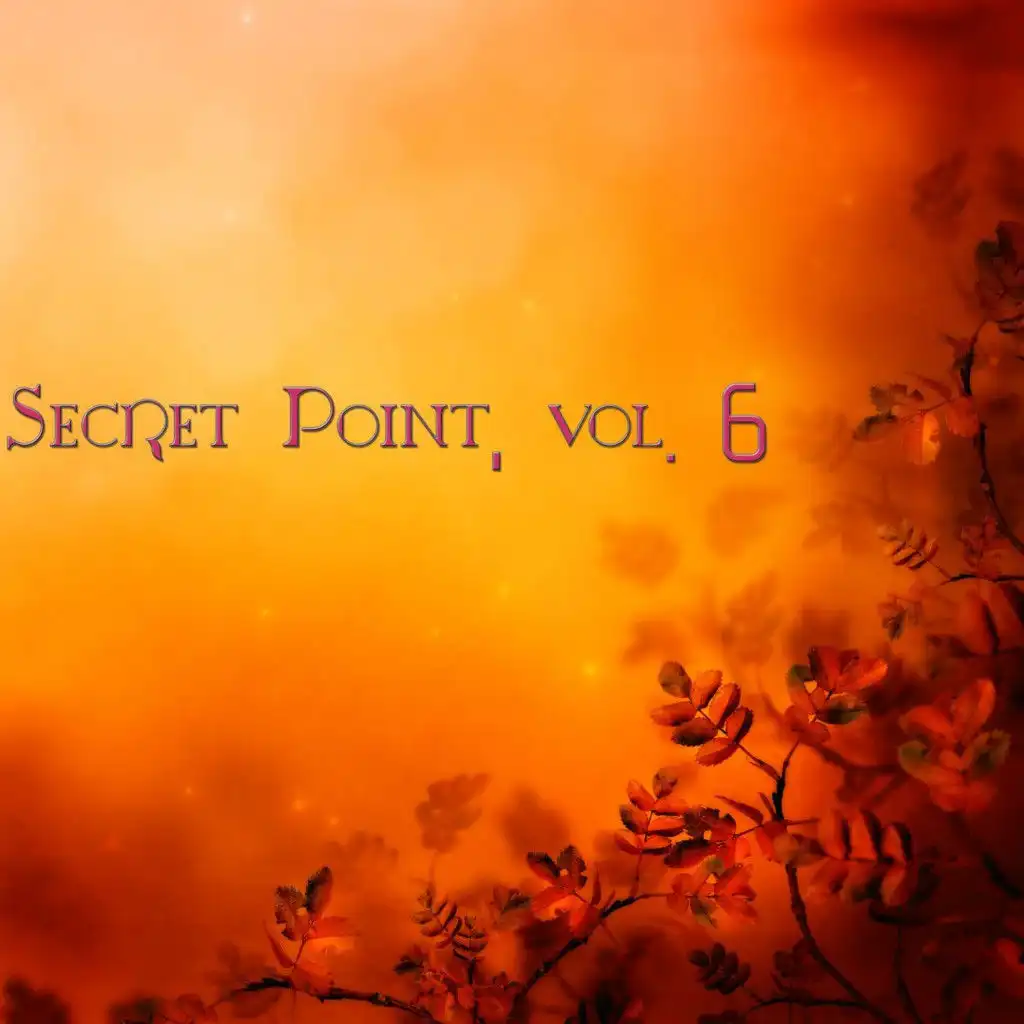 Secret Point, Vol. 6