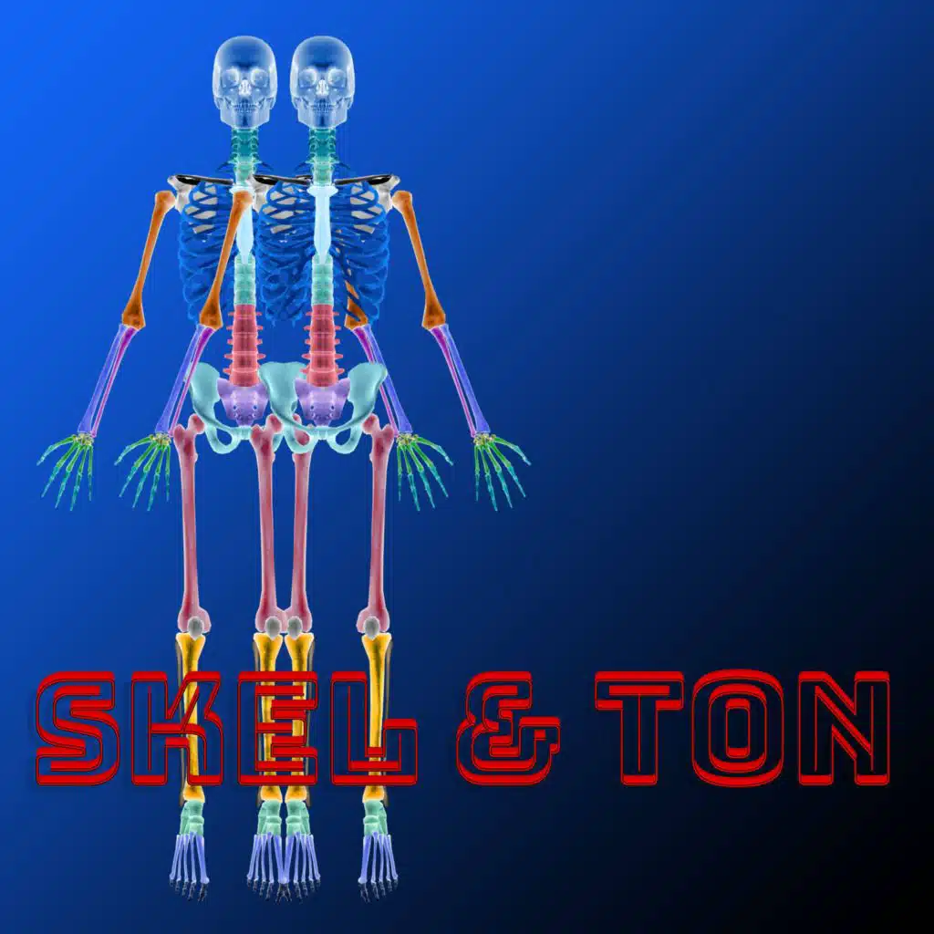 Skel & Ton