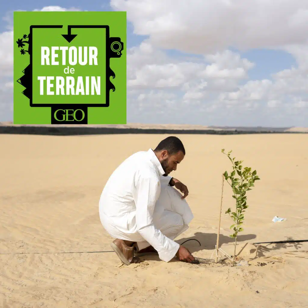 Egypte : l’oasis de Siwa, un paradis vert au milieu du Sahara