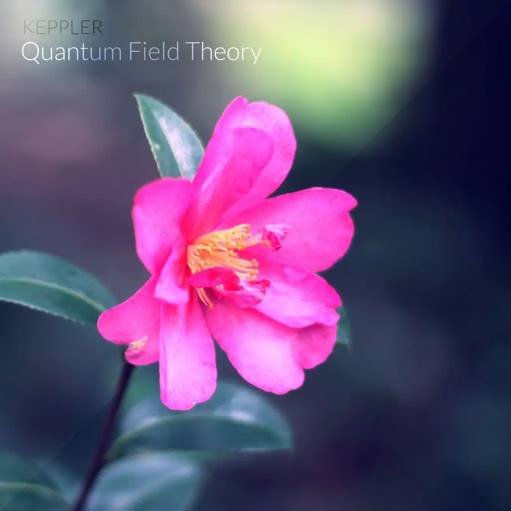 Quantum Field Theory