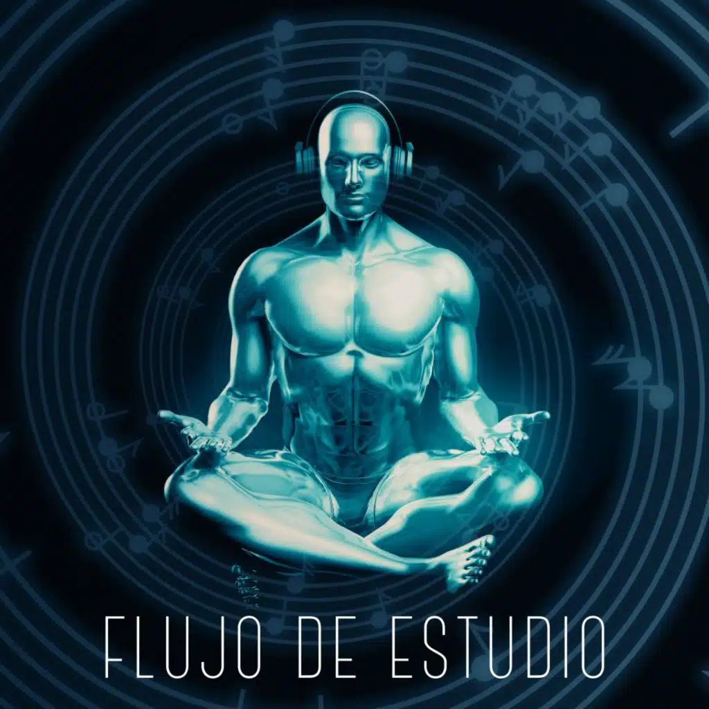 Flujo de Estudio