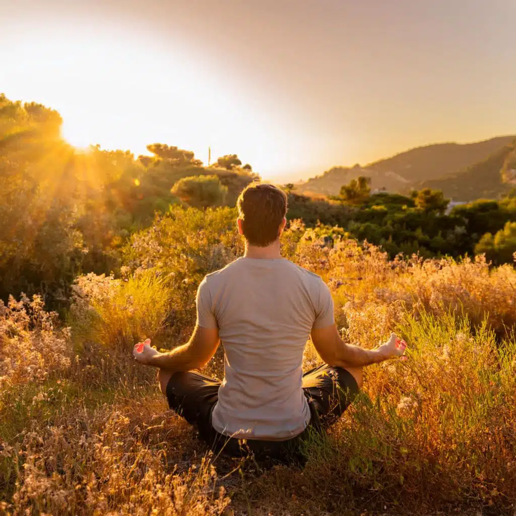 Camino Hacia La Serenidad: Música Para Meditación Profunda