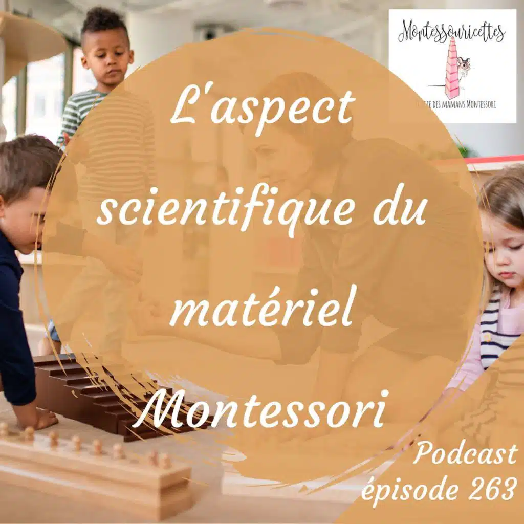264. L'aspect scientifique du matériel Montessori