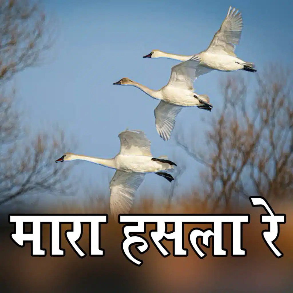 Jitendra Rao