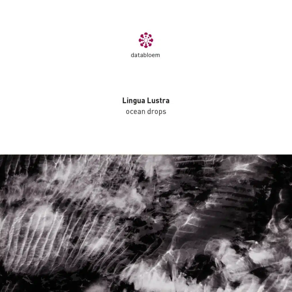 Lingua Lustra