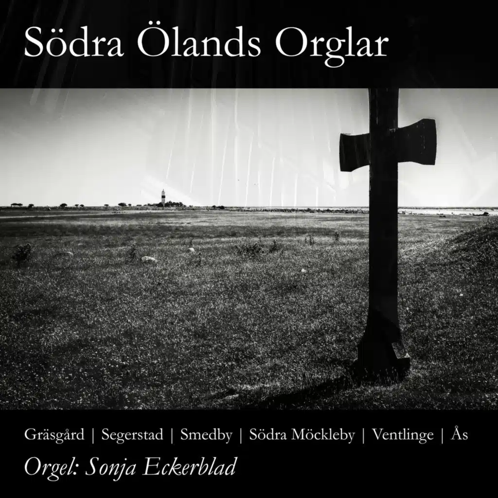Södra Ölands Orglar (2025 Remaster)