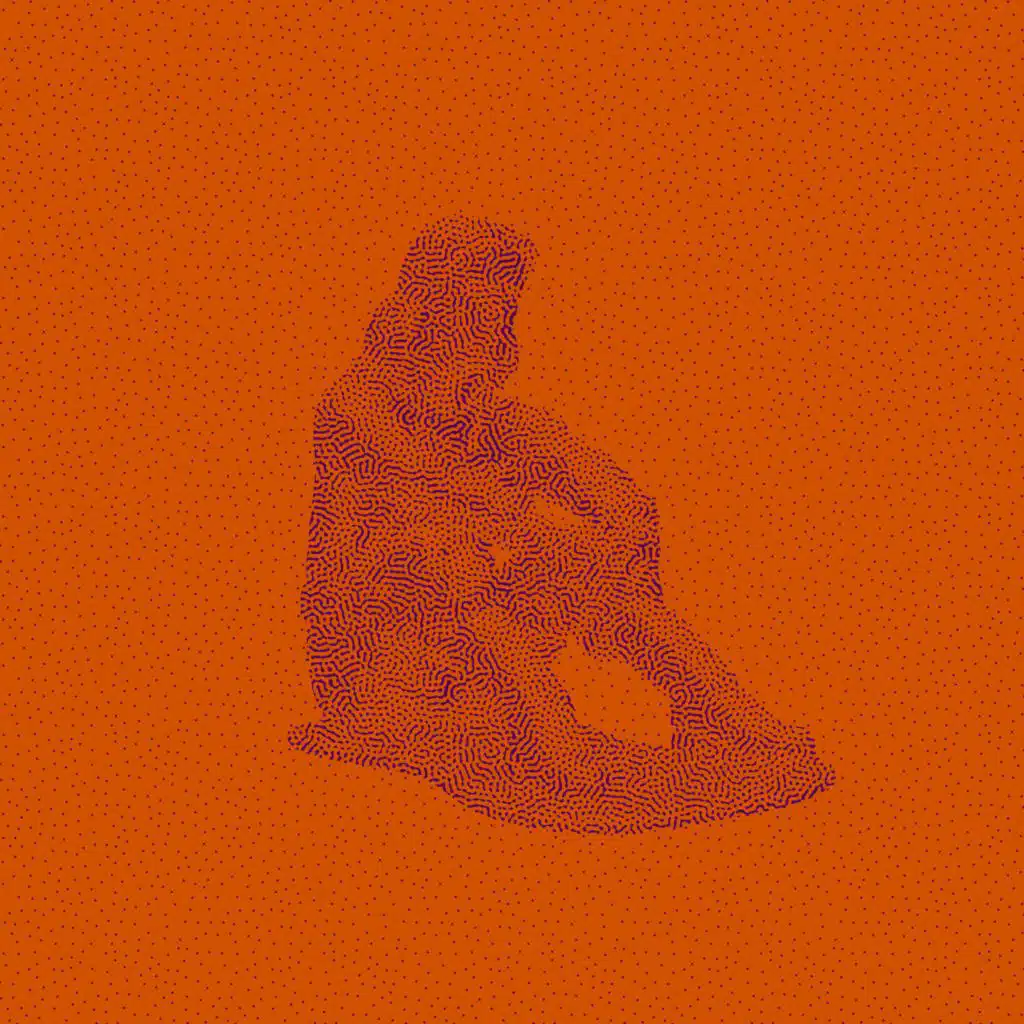 I miei migliori complimenti