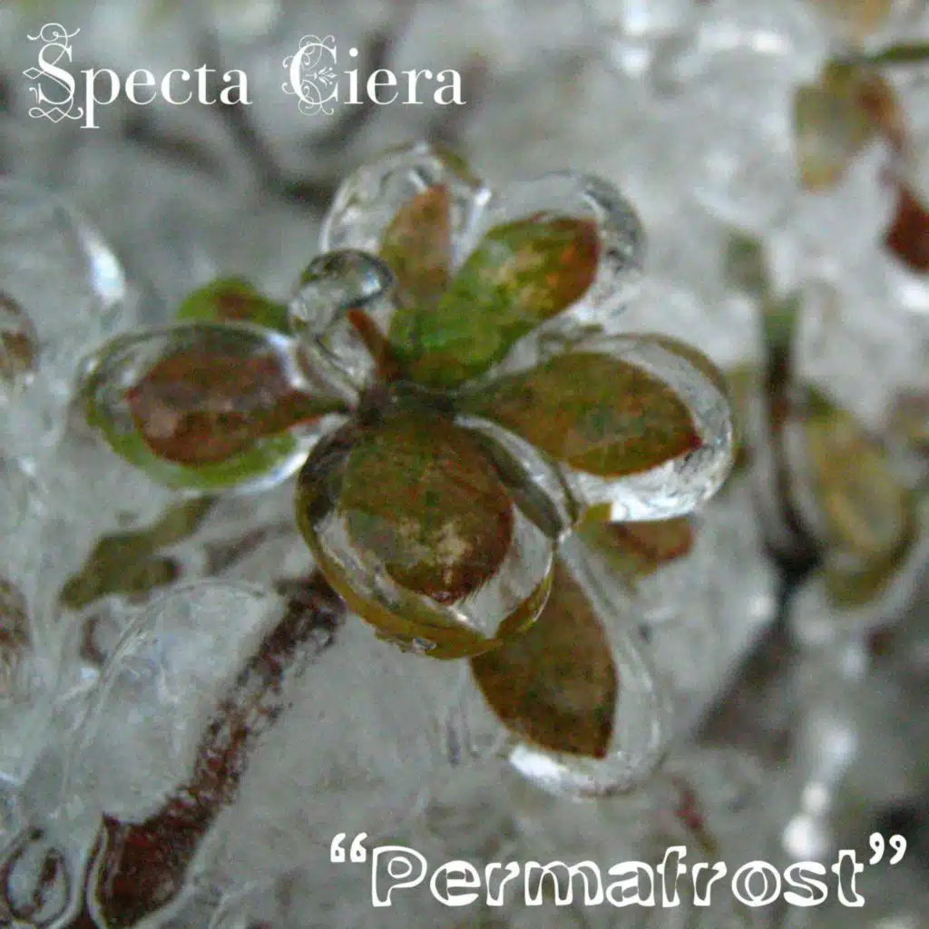 Specta Ciera