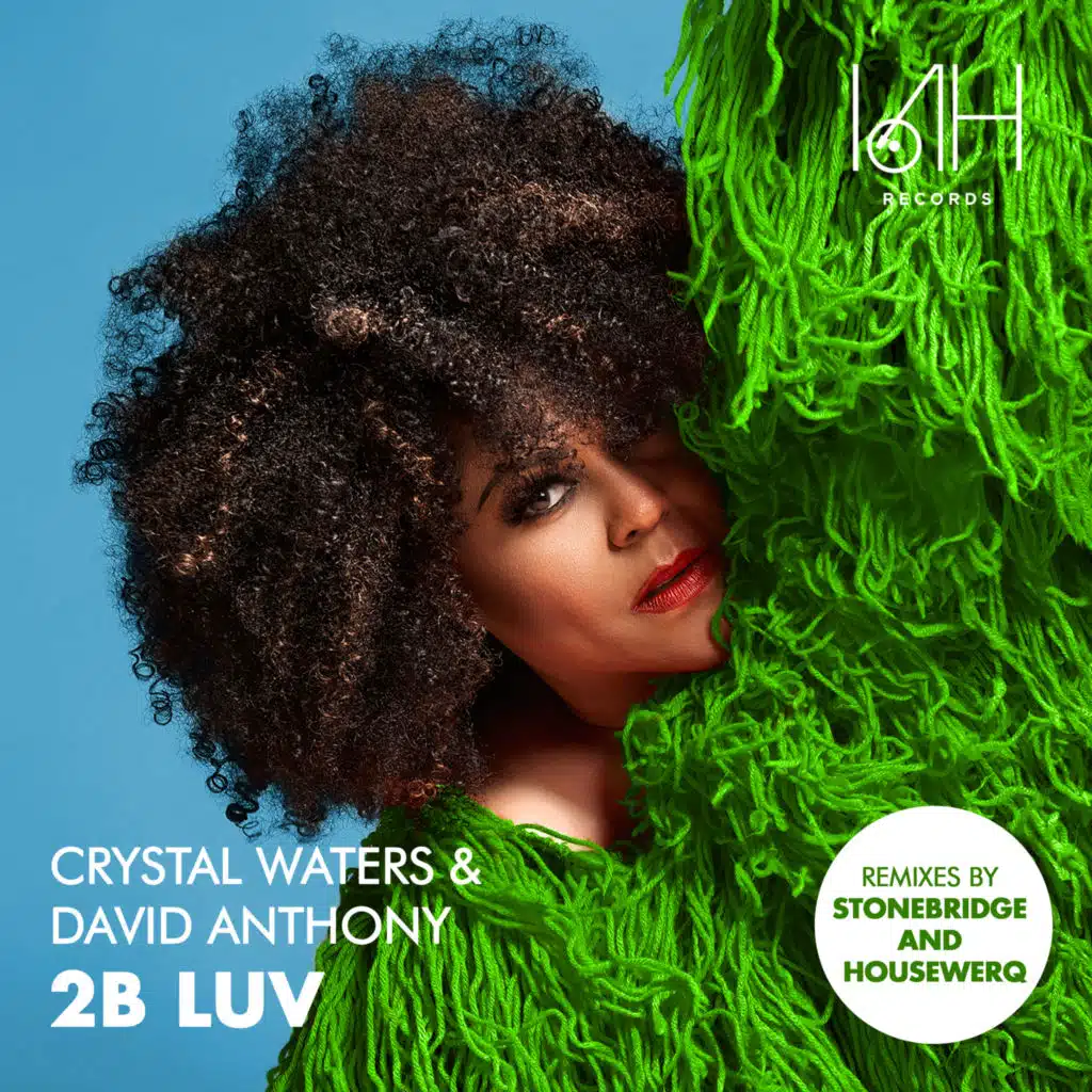 2B Luv (HouseWerQ Instrumental Remix)