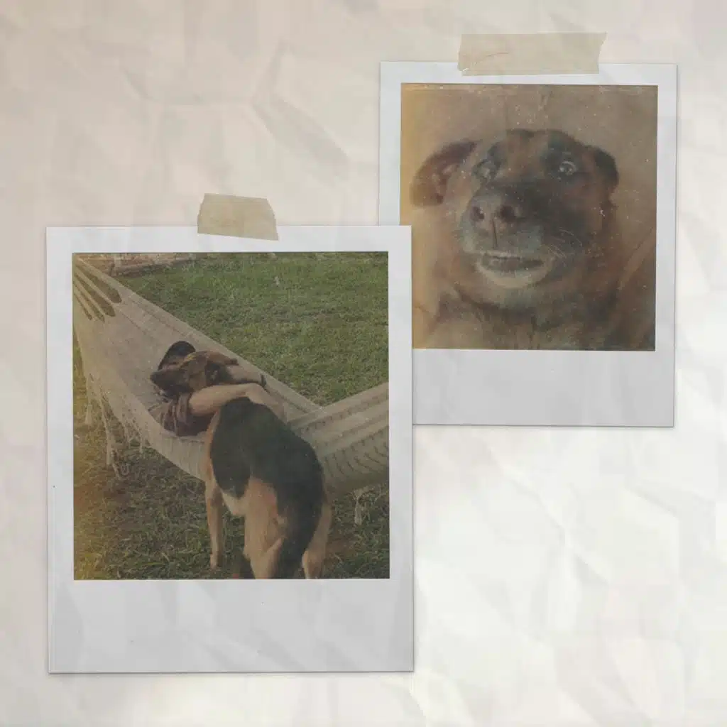 For my lil dog named Krul