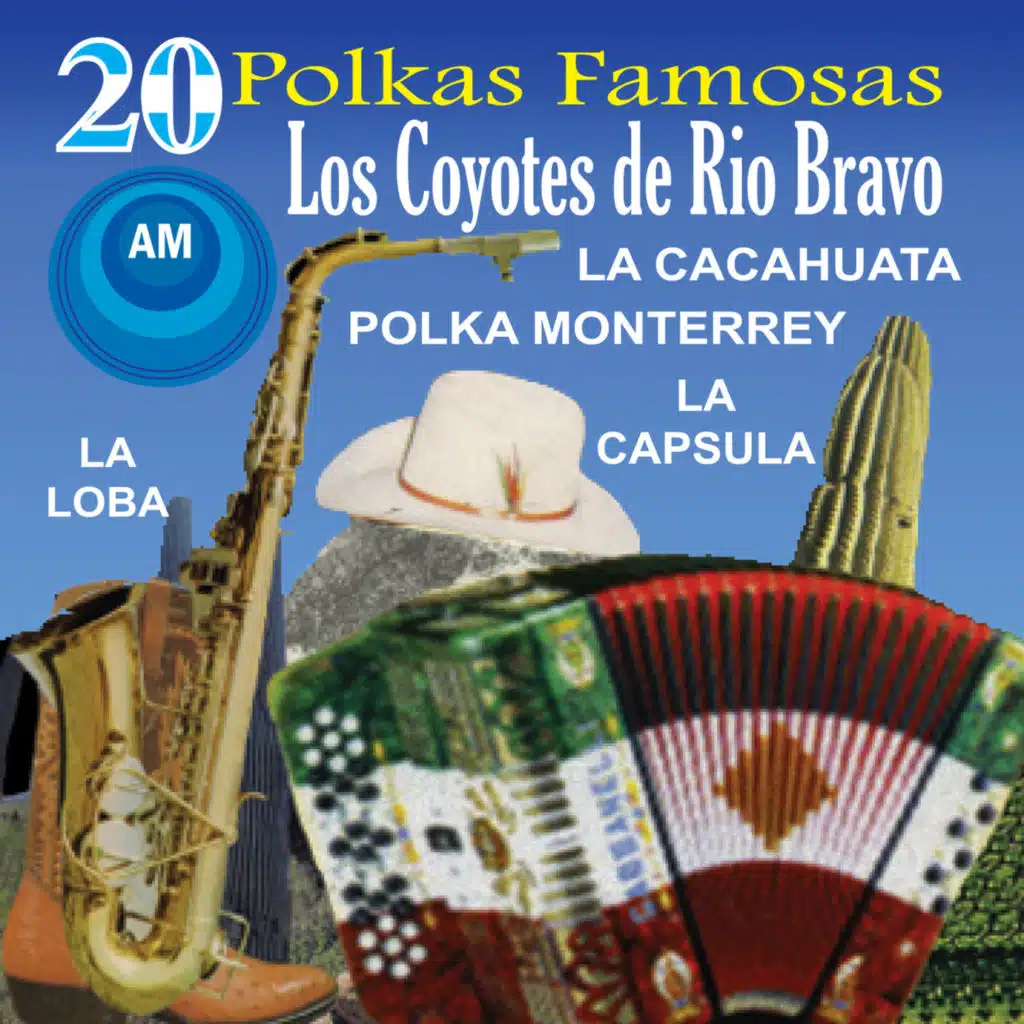 20 Polkas Famosas