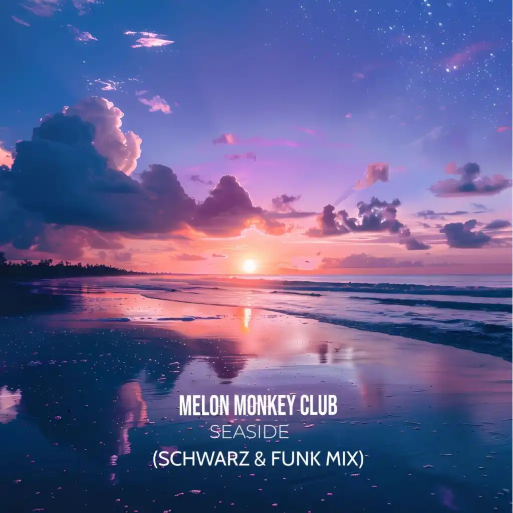 Schwarz & Funk & Melon Monkey Club