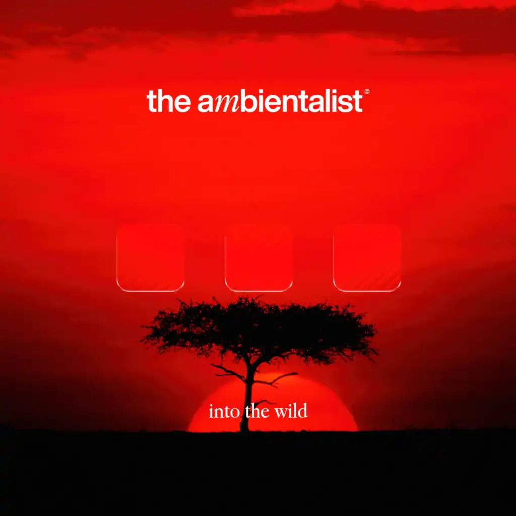 The Ambientalist