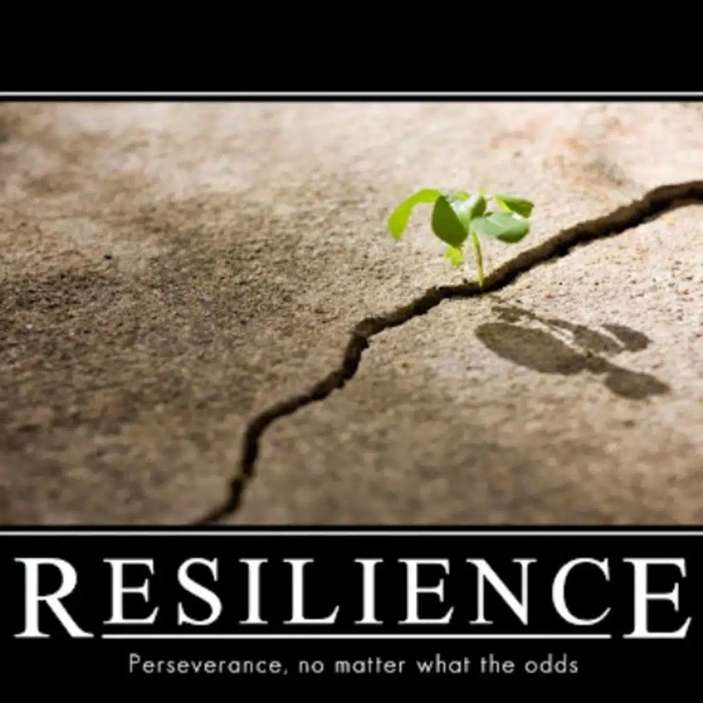 Episode 332:  What Is This Thing Called Resilience?