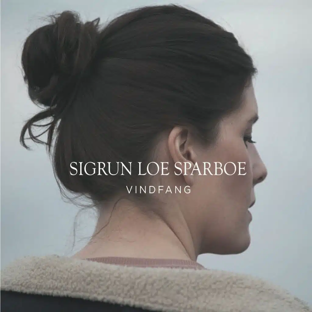 Vindfang