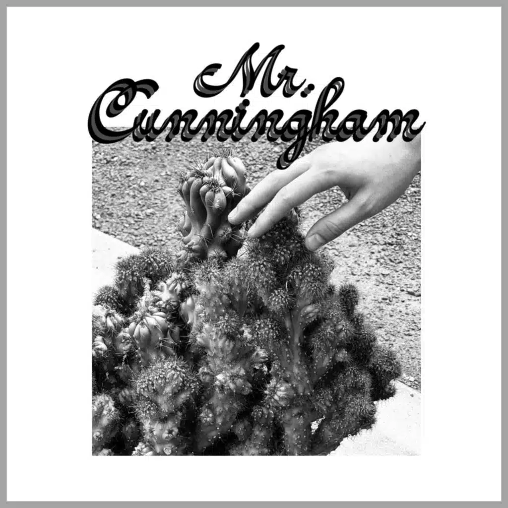 Mr. Cunningham