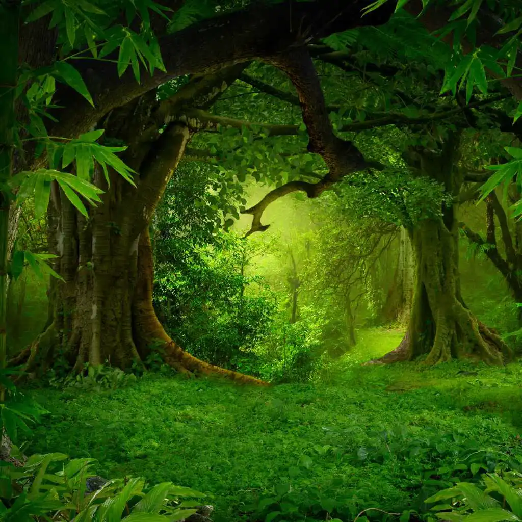 Lost Woods (Chillstep Version)