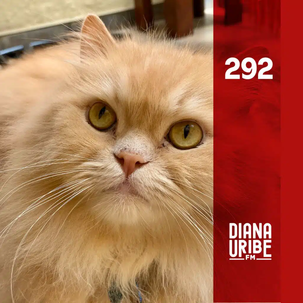 Especial: Historia de los Gatos