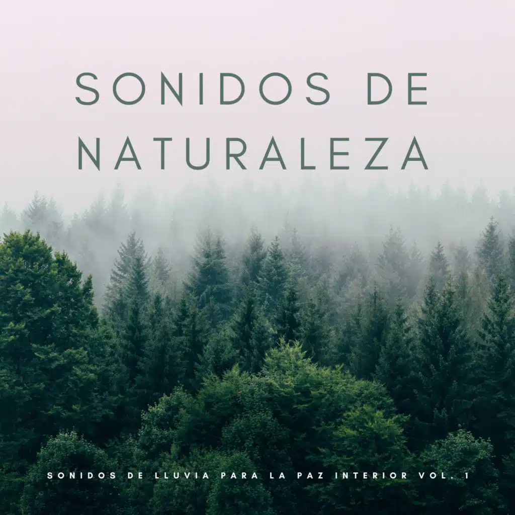 Sonidos De Naturaleza: Sonidos De Lluvia Para La Paz Interior Vol. 1