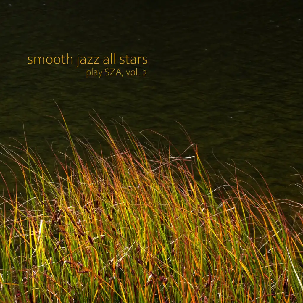 Smooth Jazz All Stars