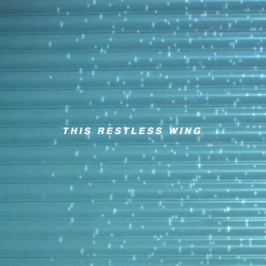 This Restless Wing (feat. Vincent Cavanagh)