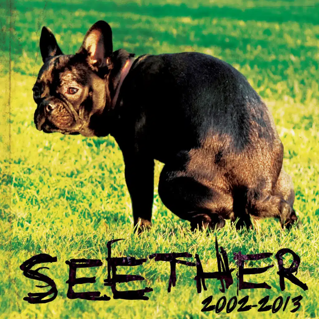 Seether: 2002-2013