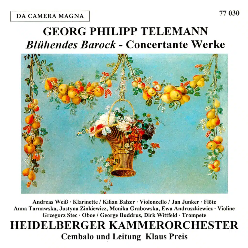 Concerto in D Major, TWV 51:D4: III. Largo