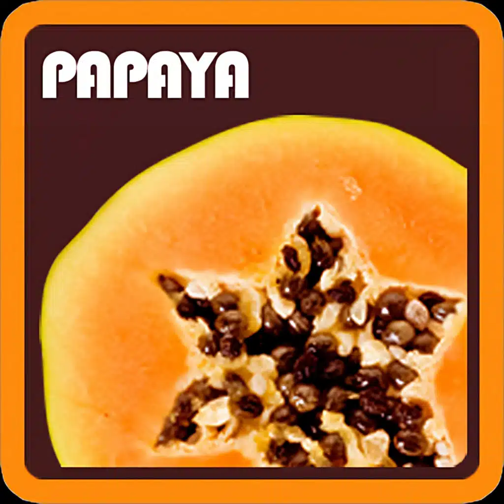 Papaya Vibe (Special Version)