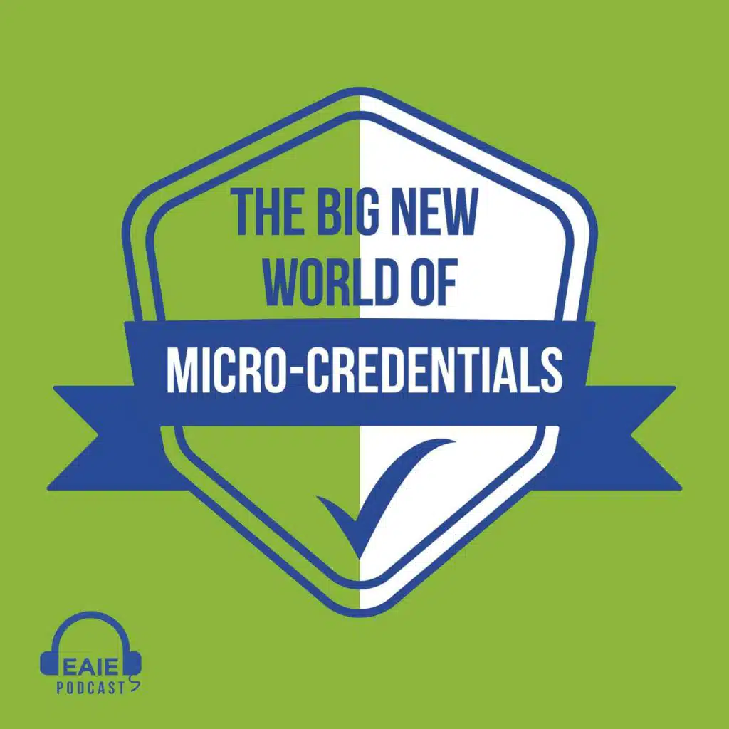 18. Maria Kelo: The big new world of micro-credentials