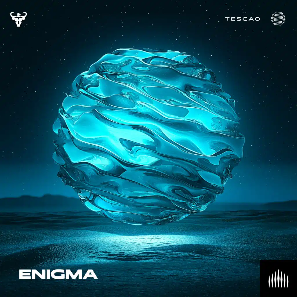 Enigma