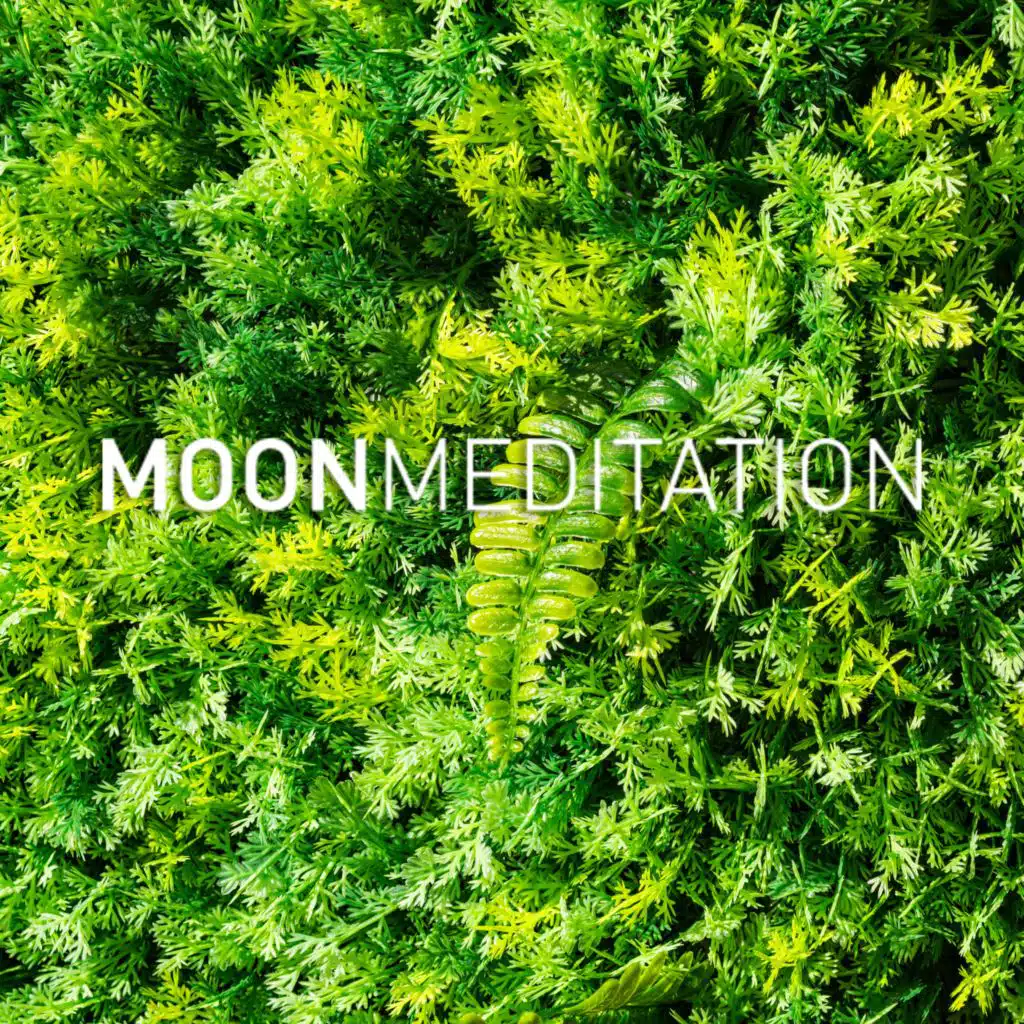 Santuario de Sueños