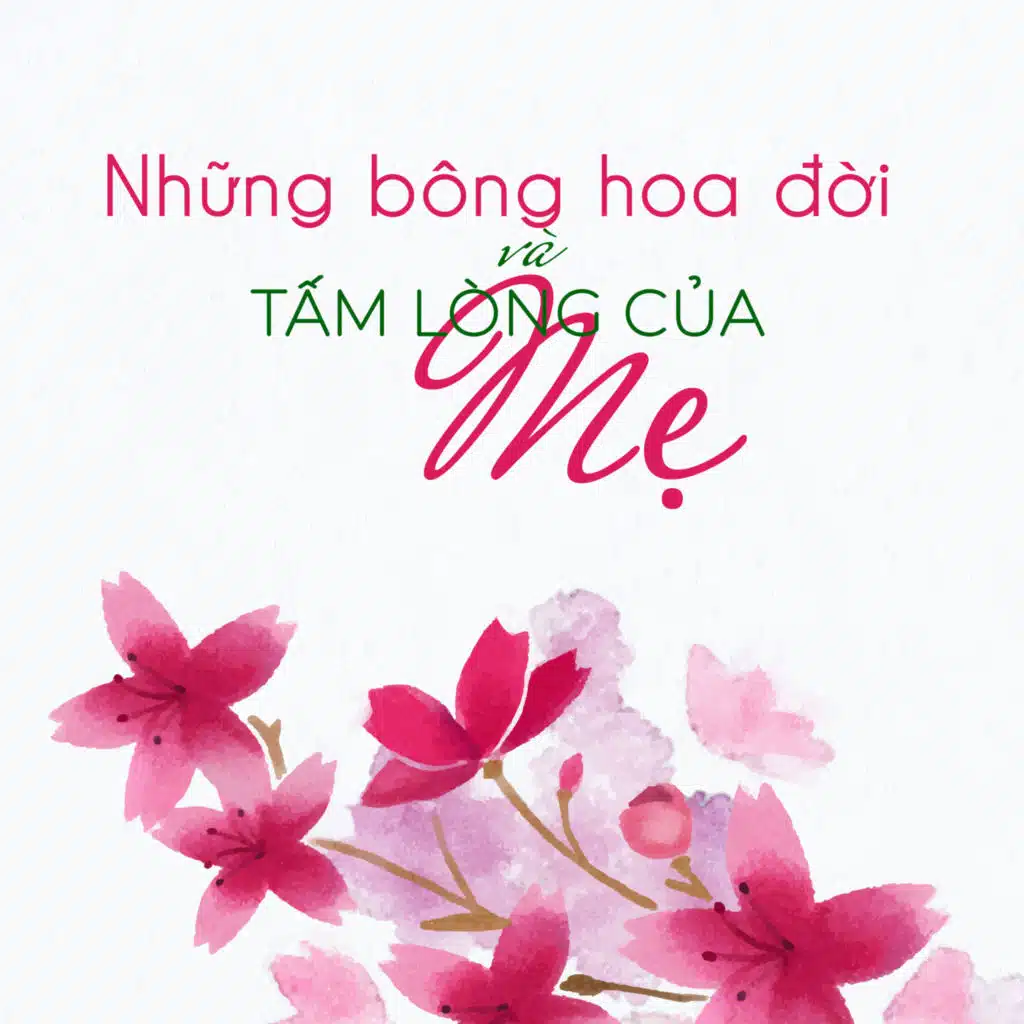 Dáng Đứng Bến Tre