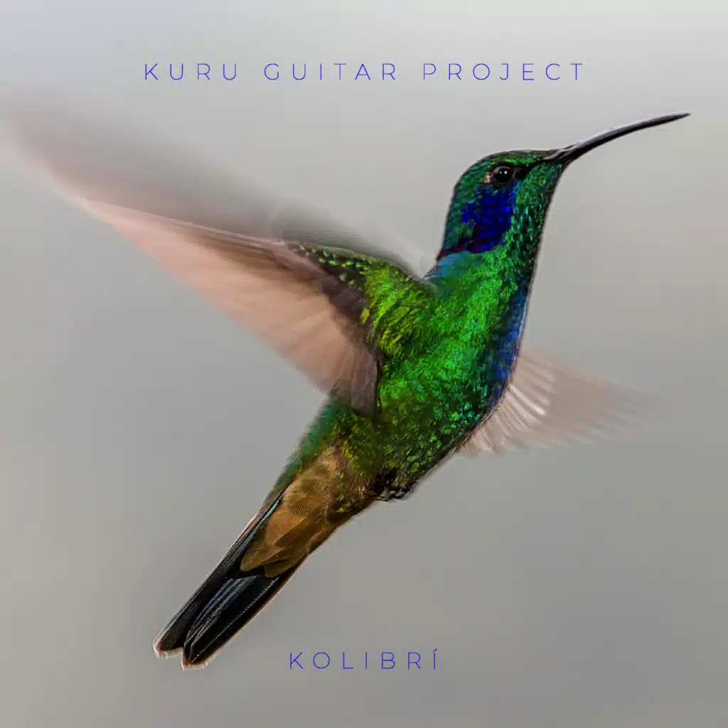 Kolibrí