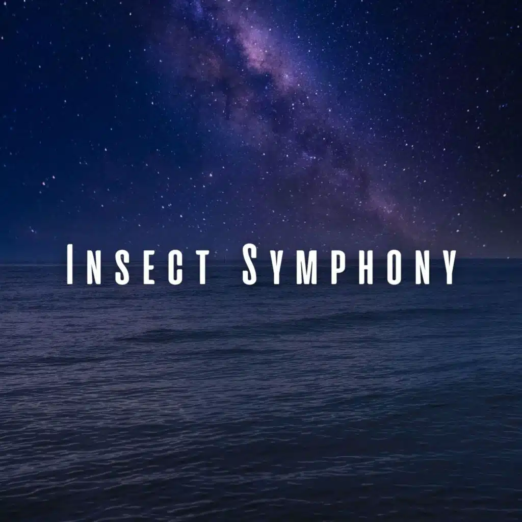 Insect Symphony: Nature's Ocean and Chill Music for Sleep