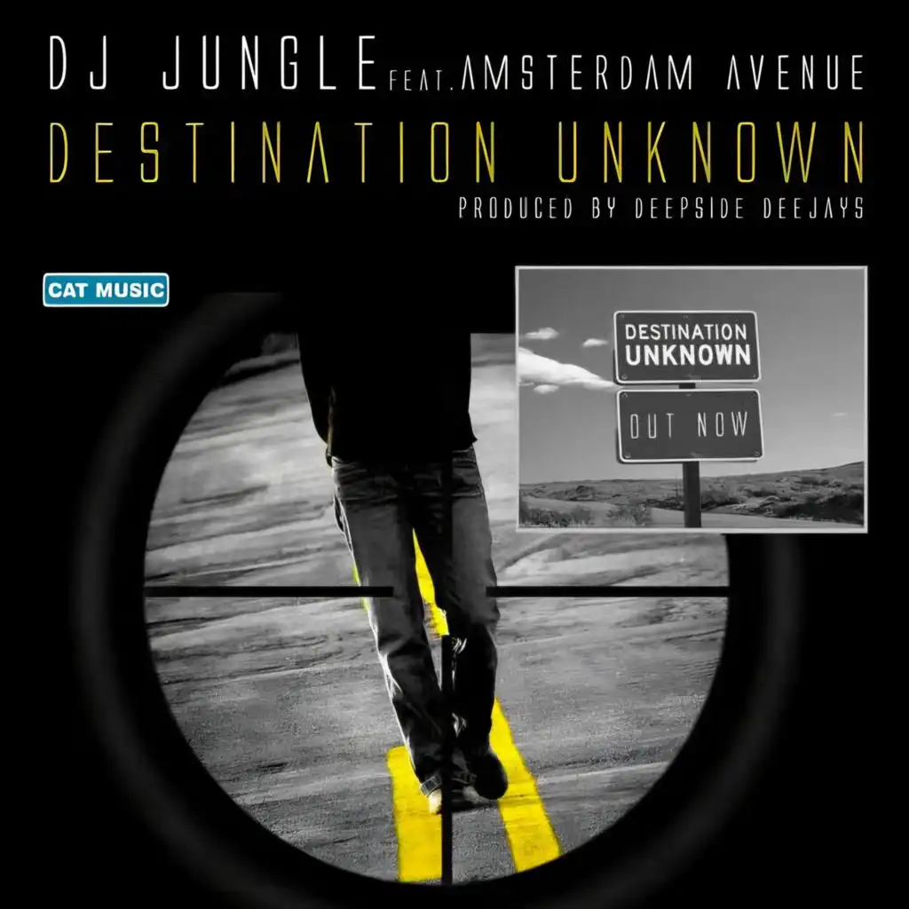 Destination Unknown (feat. Amsterdam Avenue)