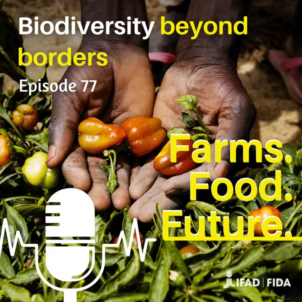 Biodiversity beyond borders