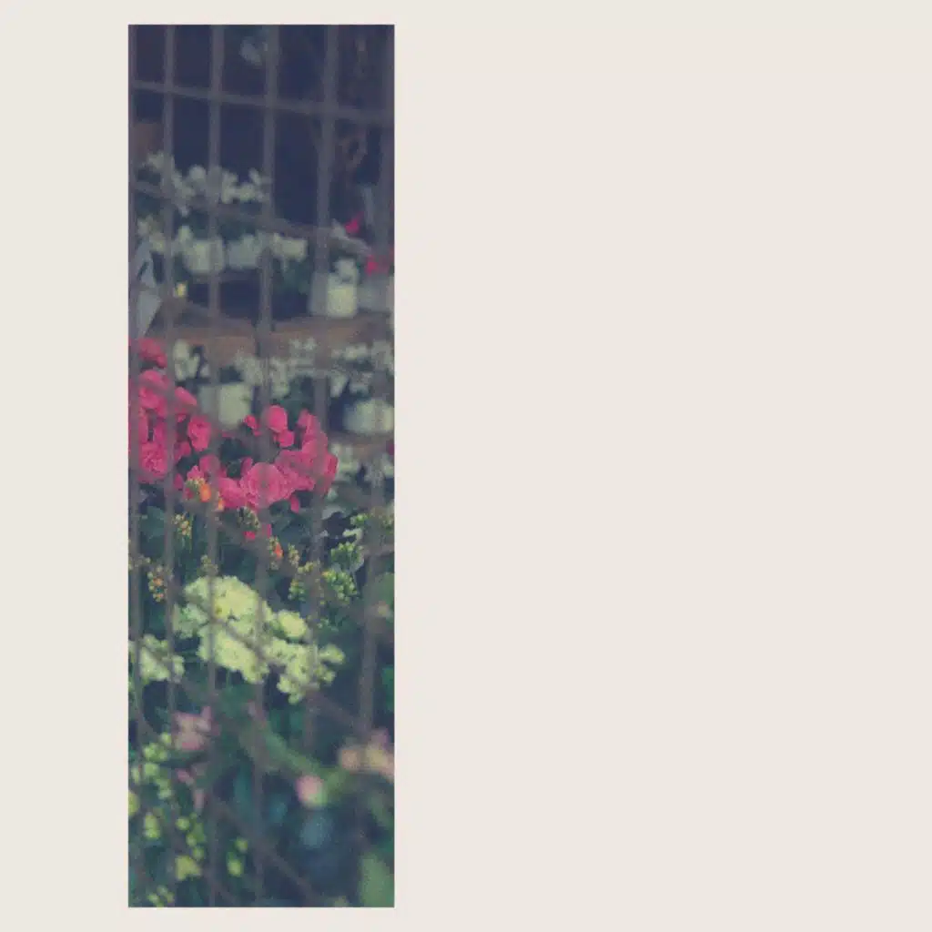 Blossom(ing)