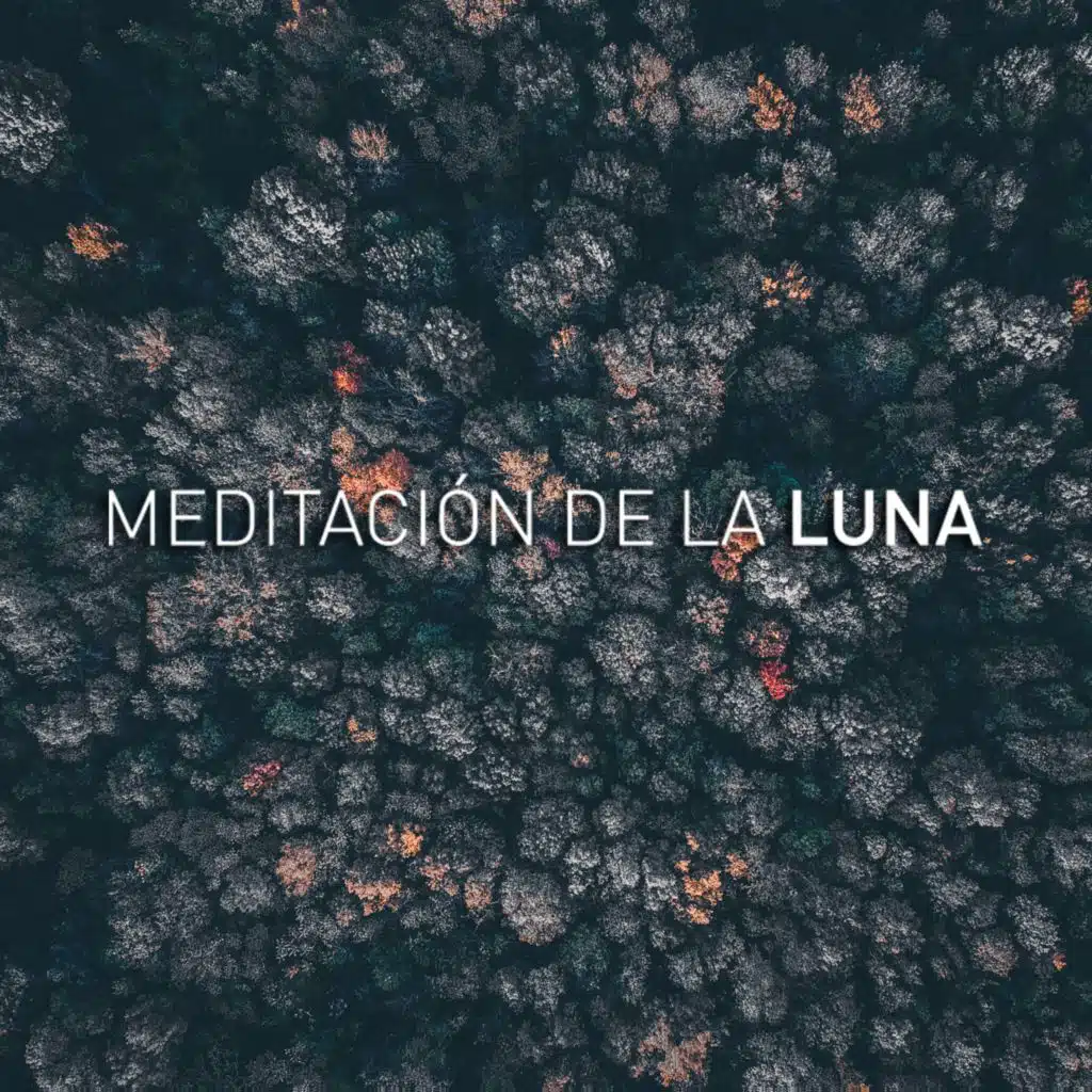 Melodias da lua & Música relaxante