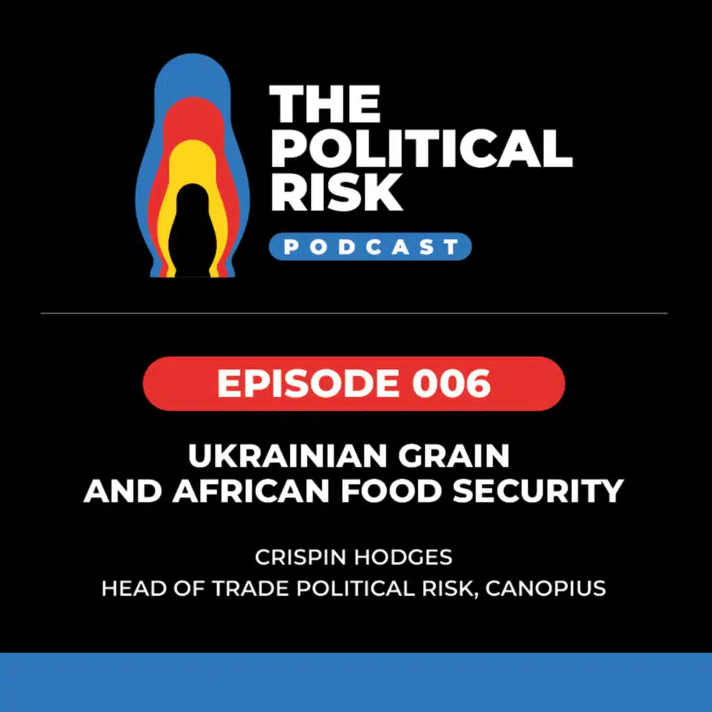 Crispin Hodges: Ukrainian grain and African food security