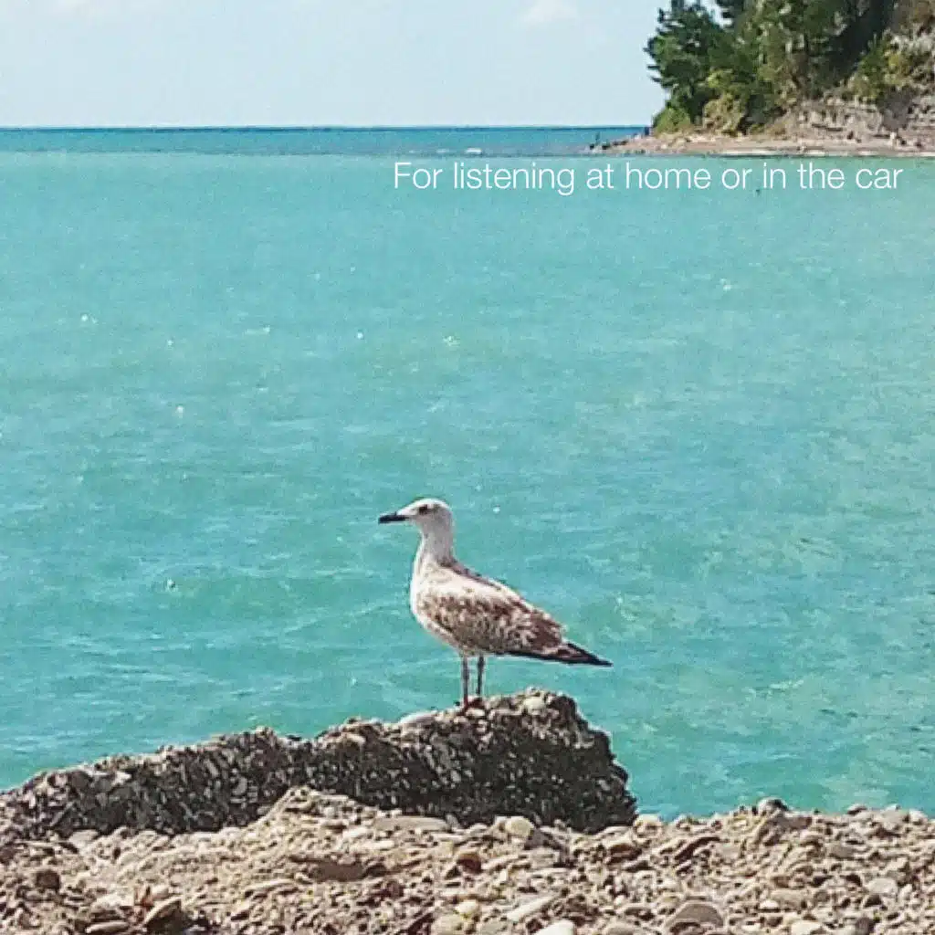 For Listening at Home or in the Car