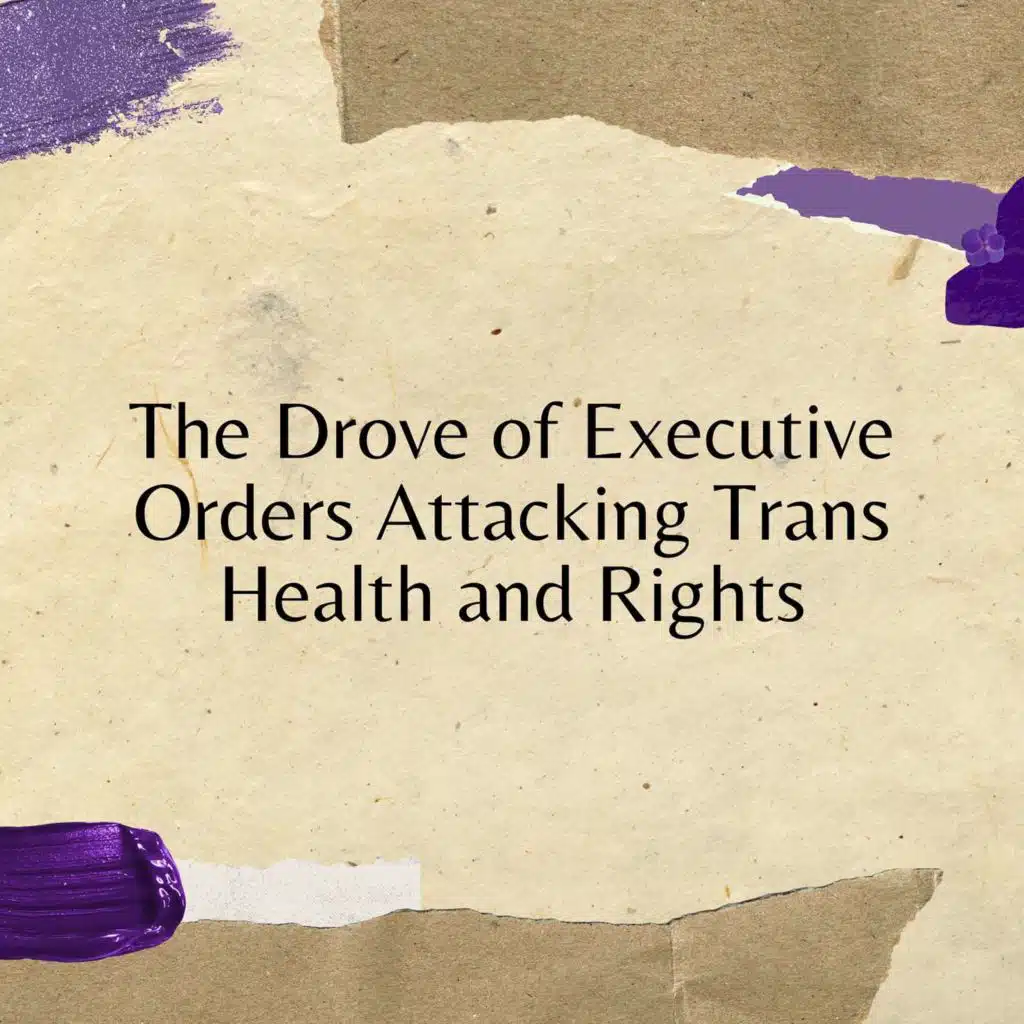The Drove of Executive Orders Attacking Trans Health and Rights