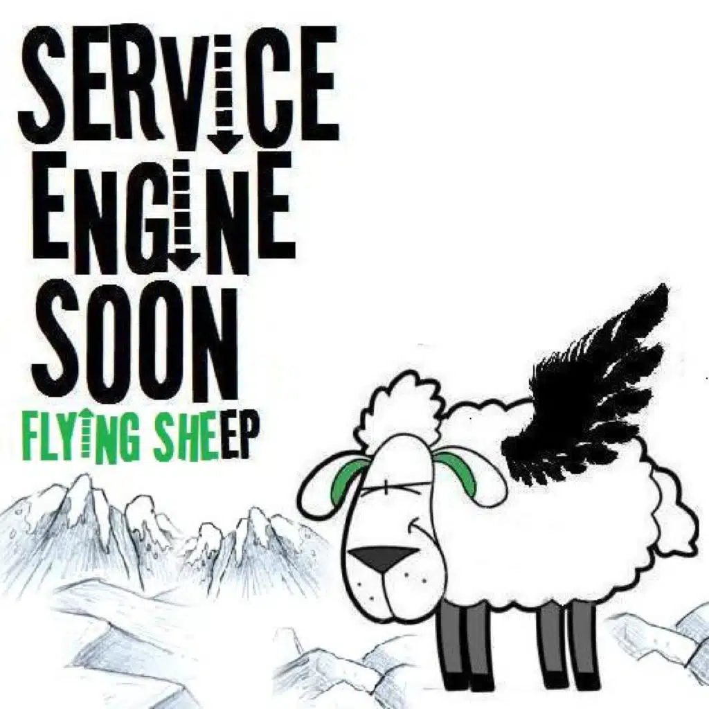 The Flying Sheep