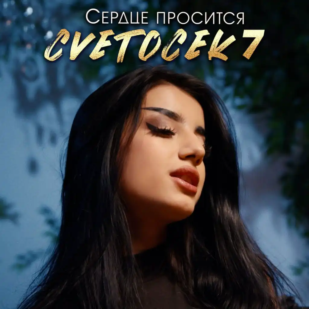 Cvetocek7