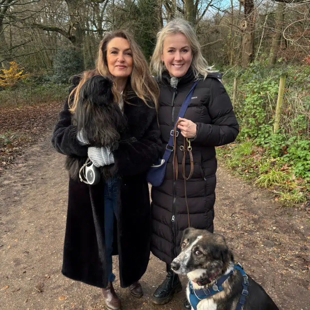 Jojo Moyes (Part One)