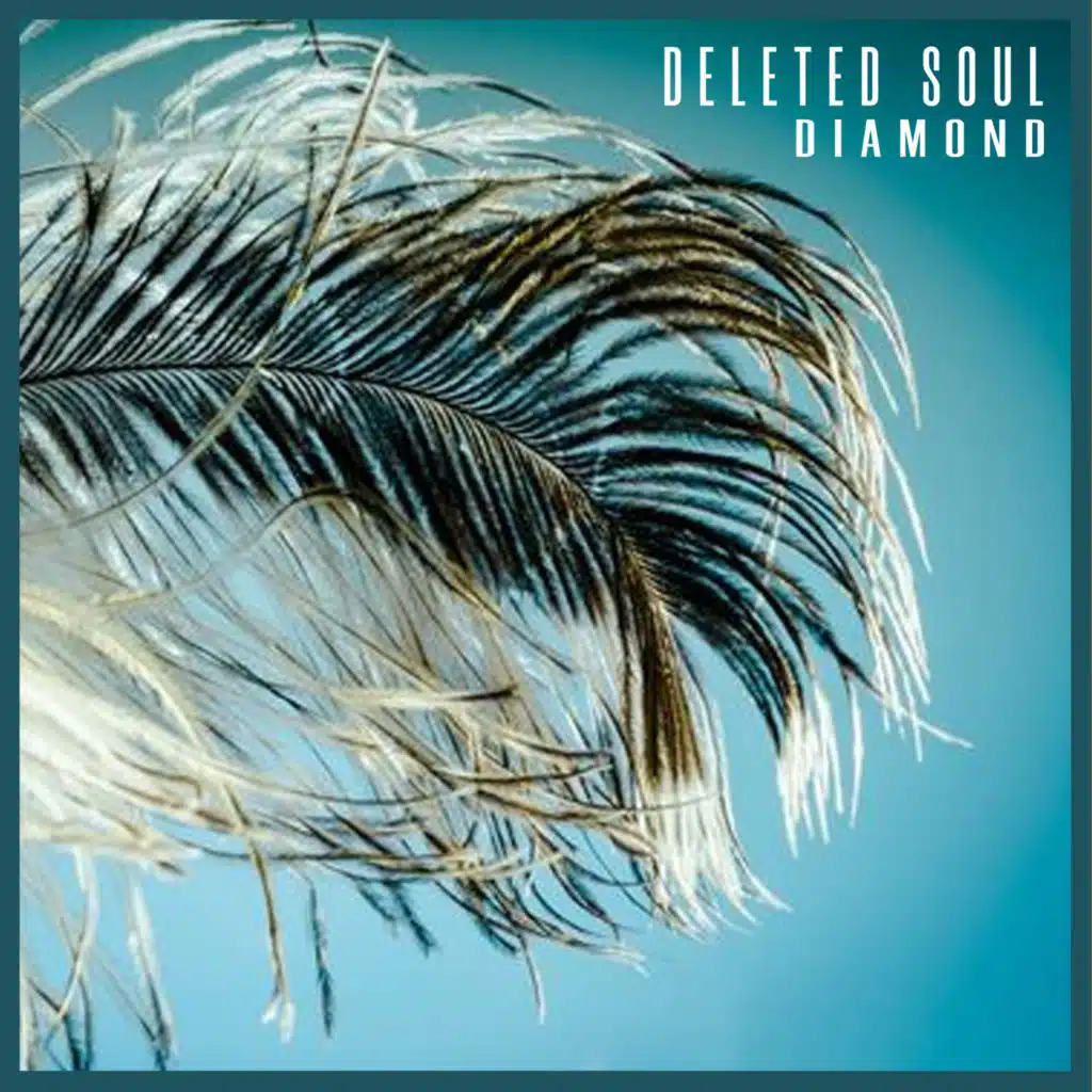 Deleted soul