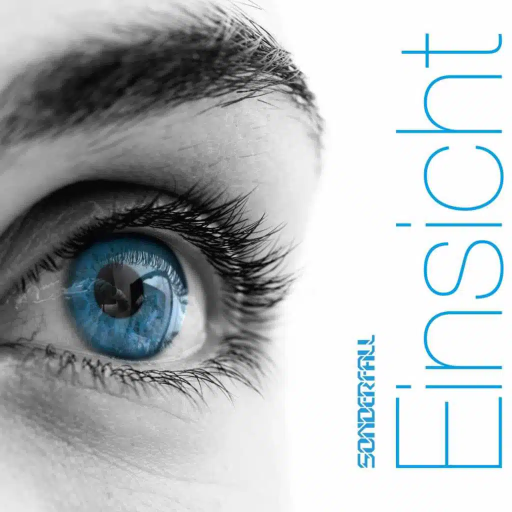 Einsicht